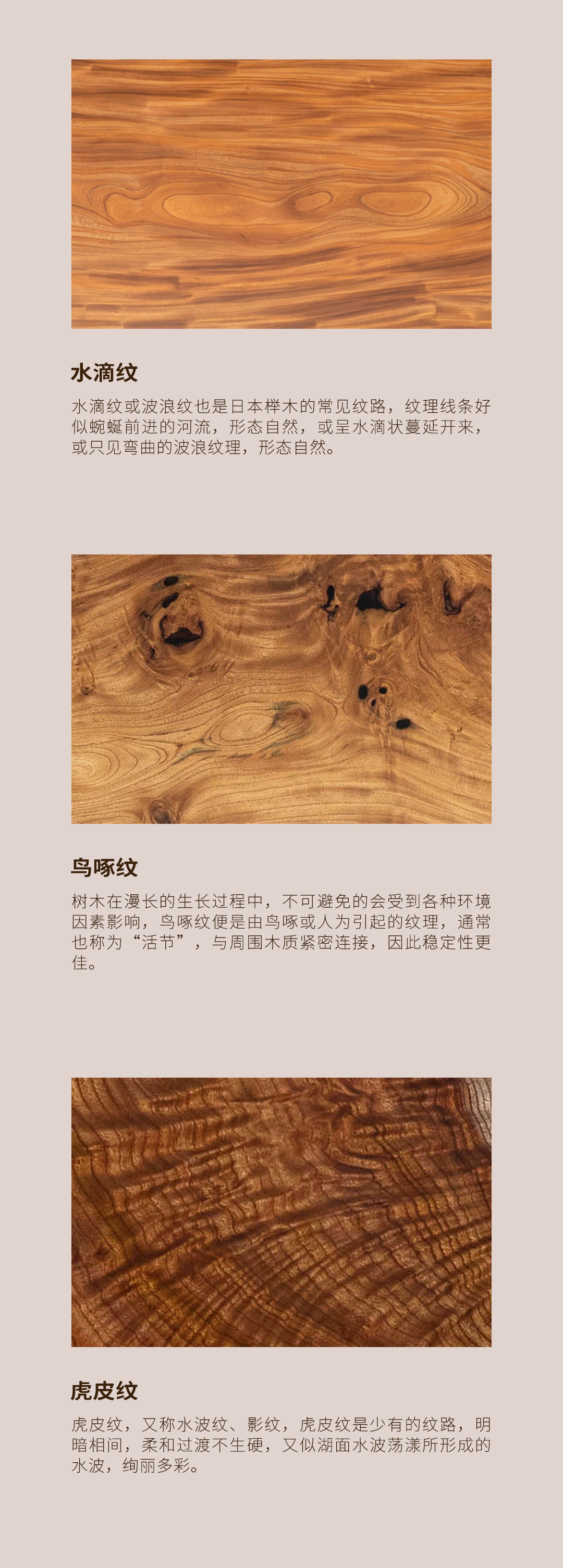 59876e57-a_529623624.jpg