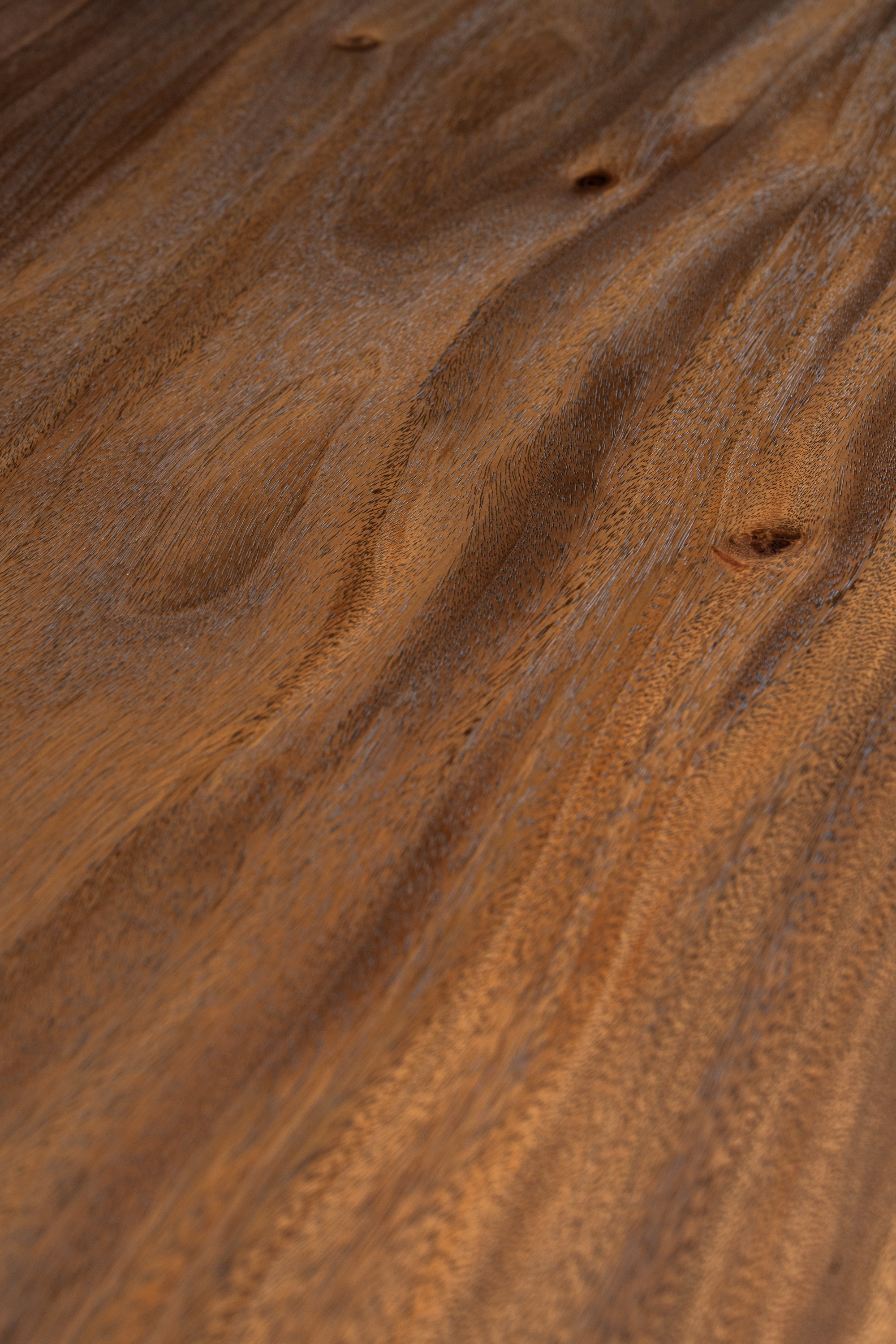 f6b03601-9_567472080.jpg