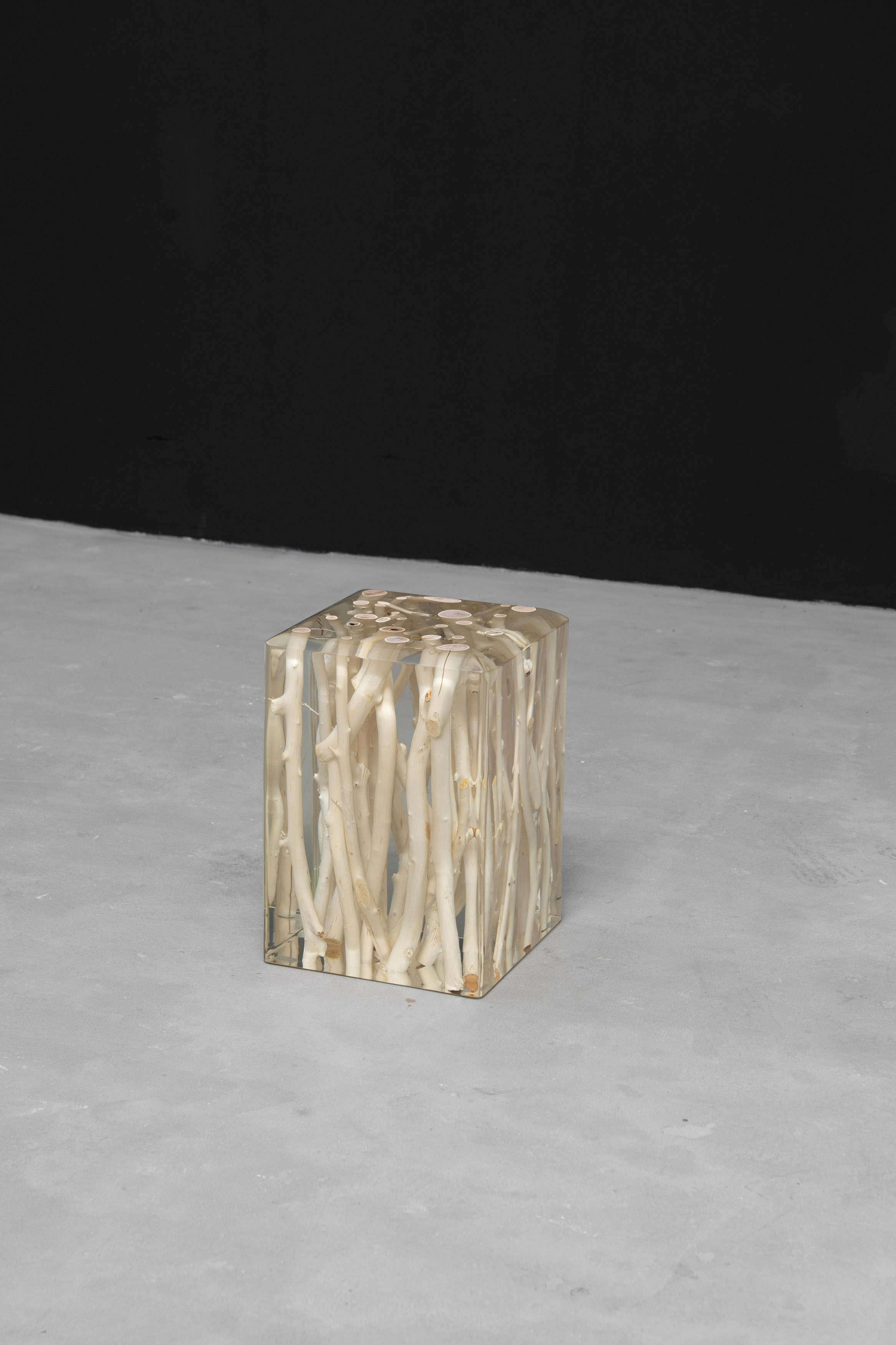 489dba9d-f_779194368.jpg