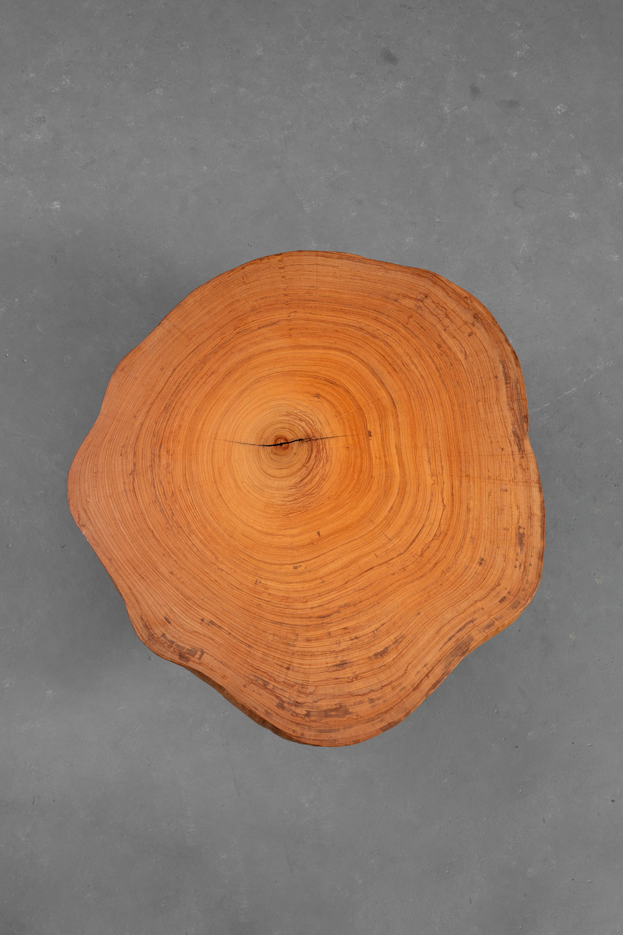 aa4431df-a_986137375.jpg