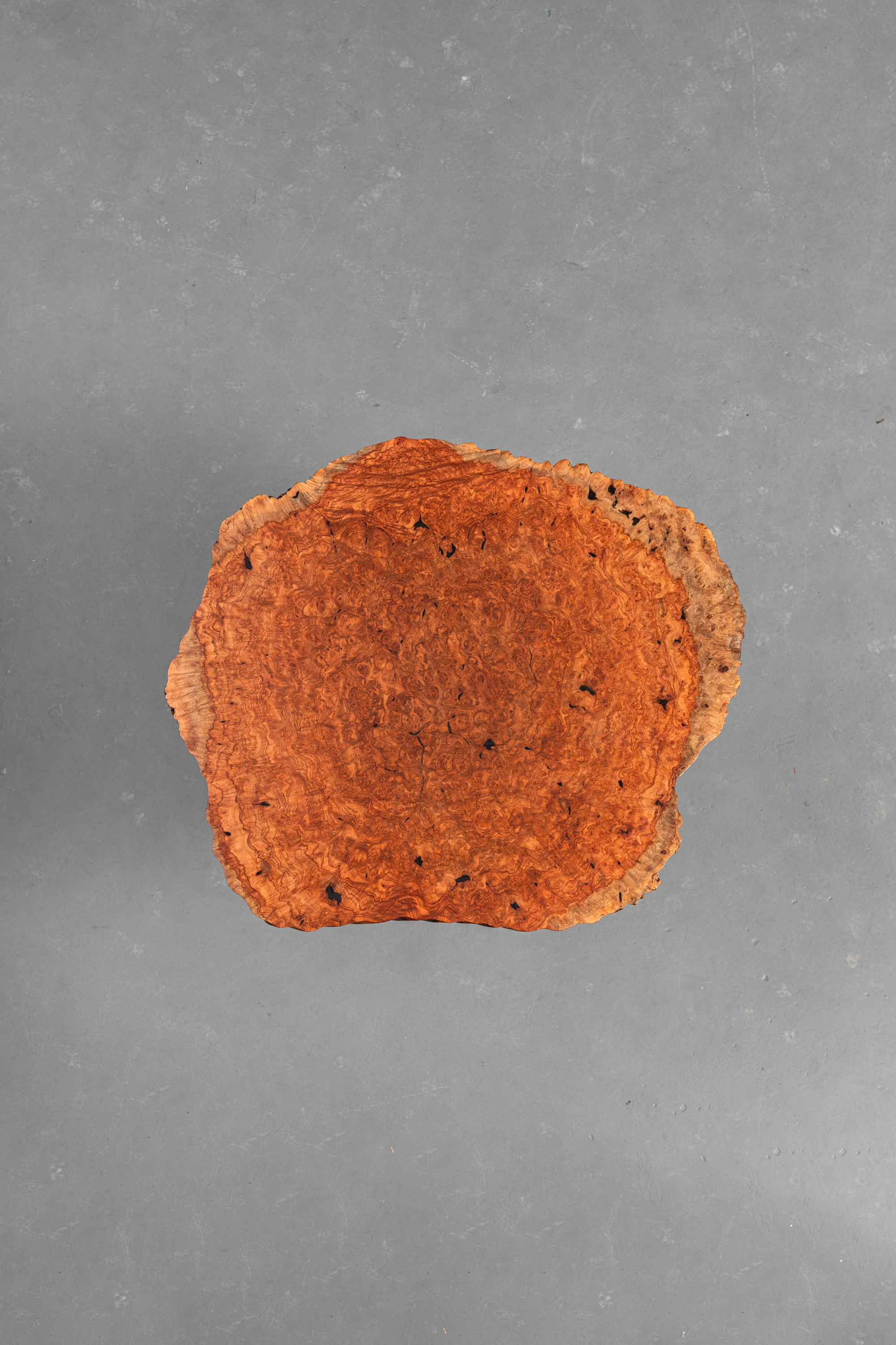 906e81b6-0_-176694299.jpg