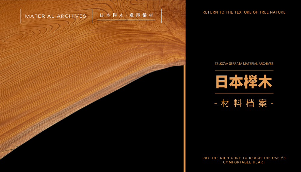 朽木传奇|让每方木 温暖世界