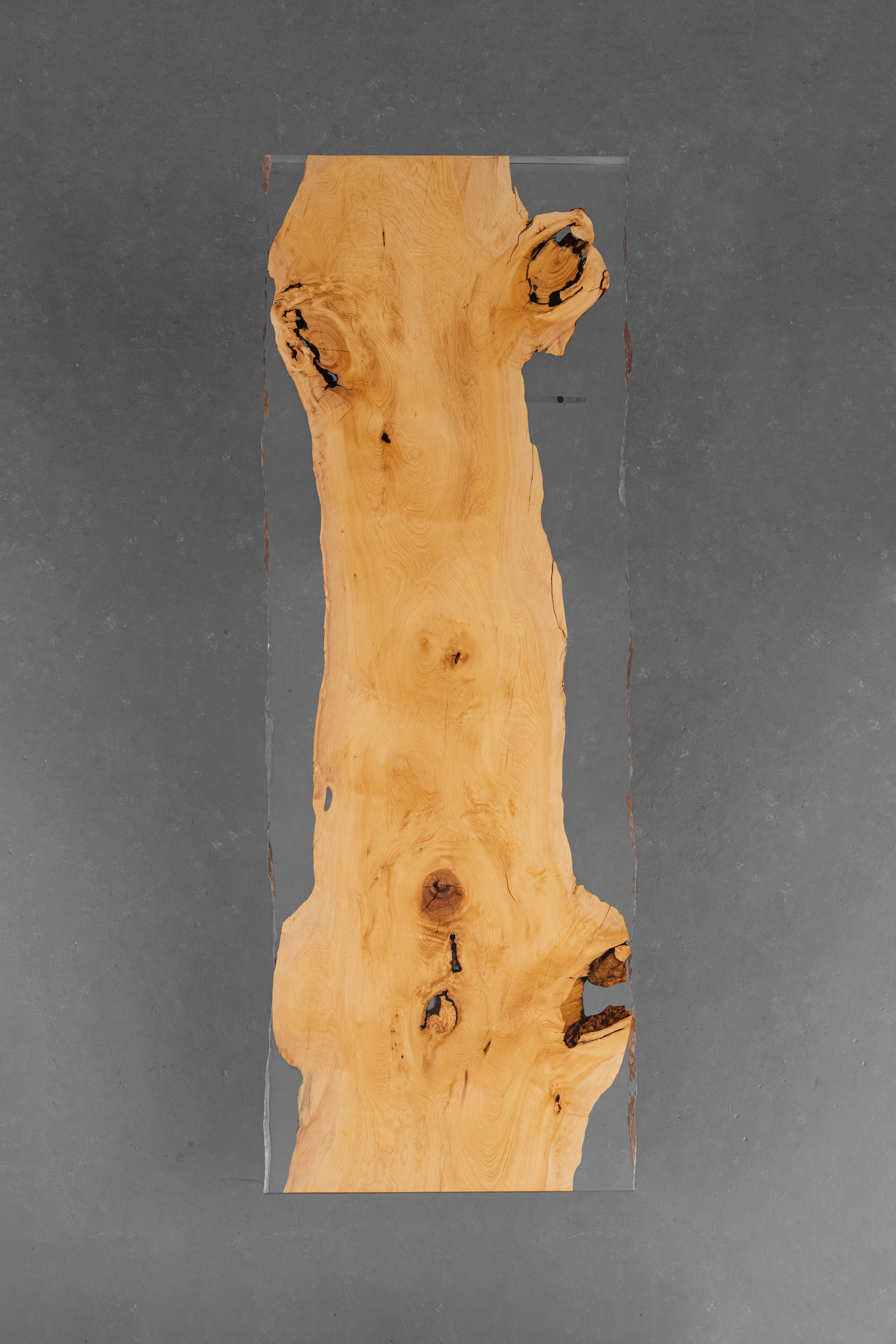 afb31d02-a_1548289560.jpg